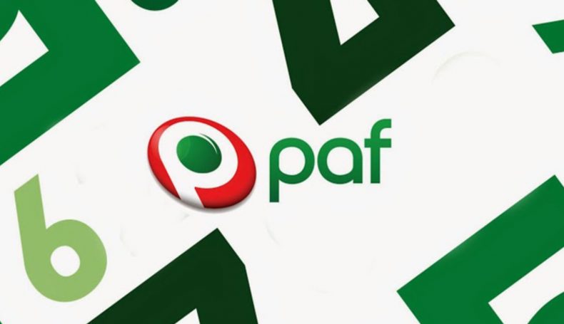 Обзор казино Raf