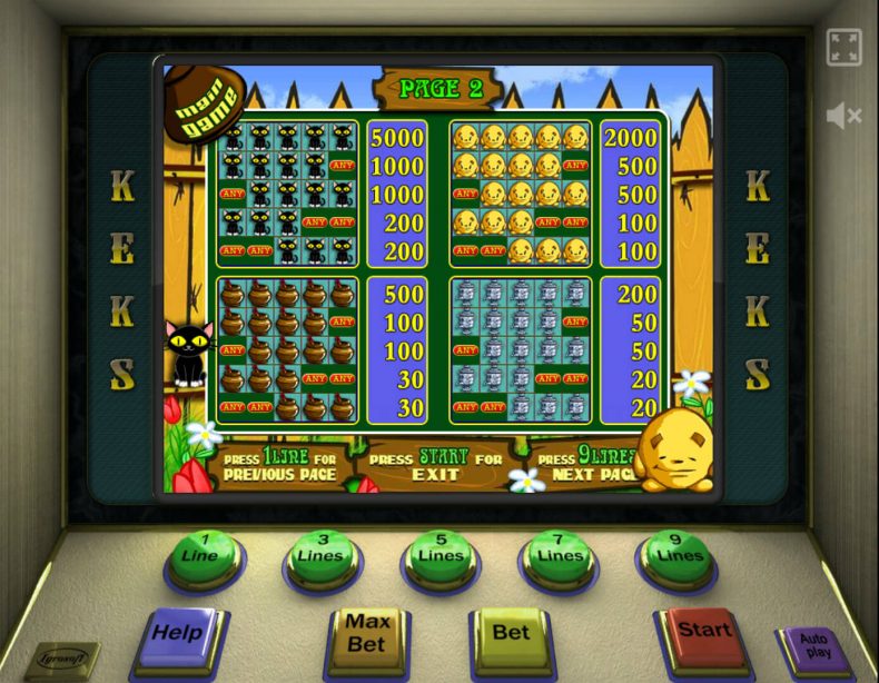 характеристики слота