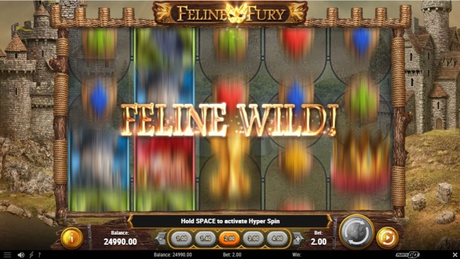 Бонусы Feline Fury