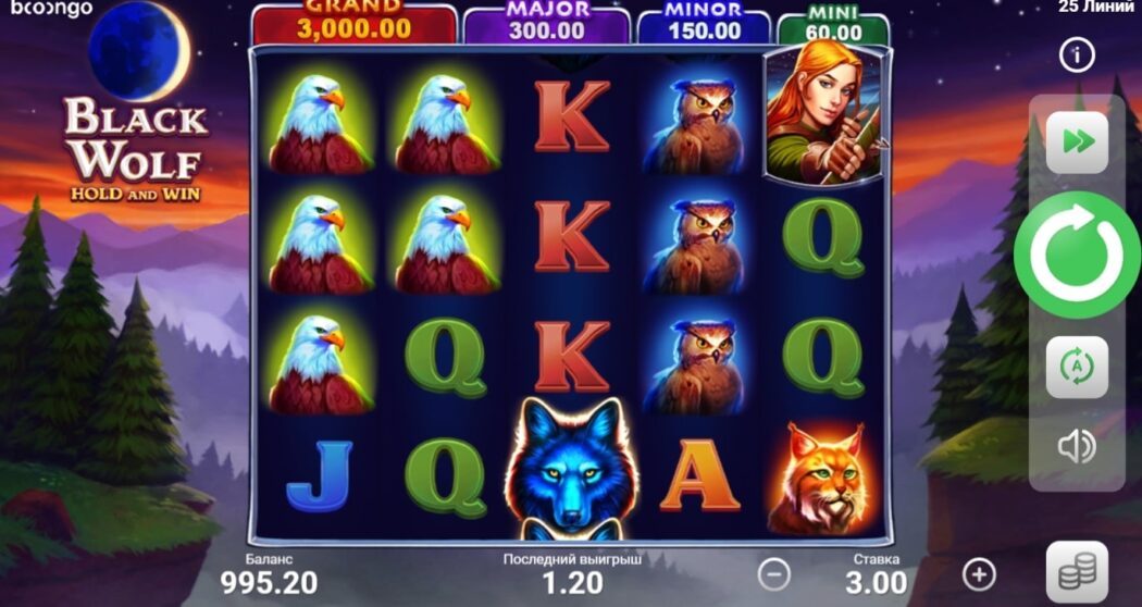 Комбинации слота Black Wolf