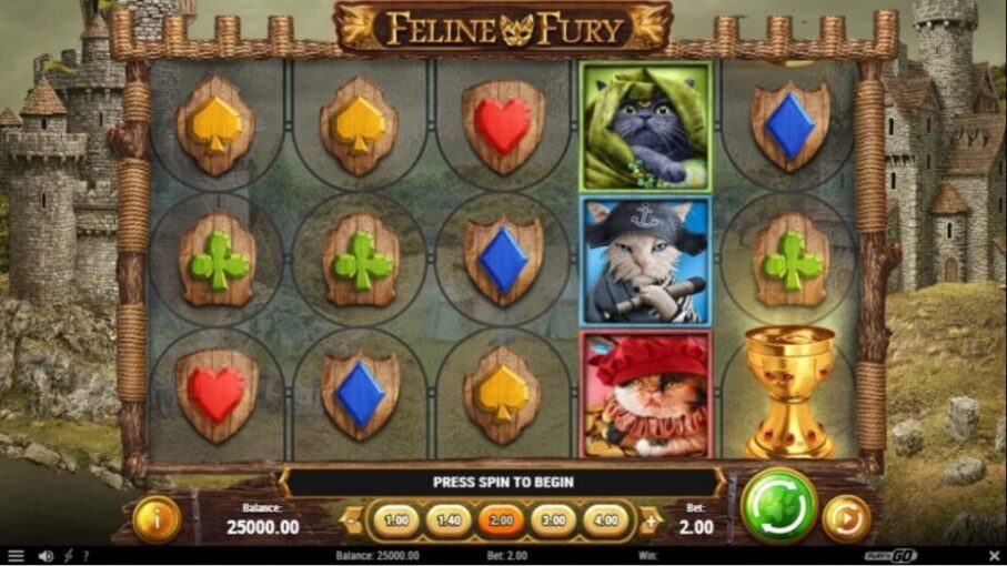 Внешний вид Feline Fury