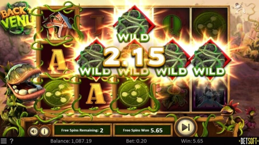 Встроенные бонусы Back To Venus