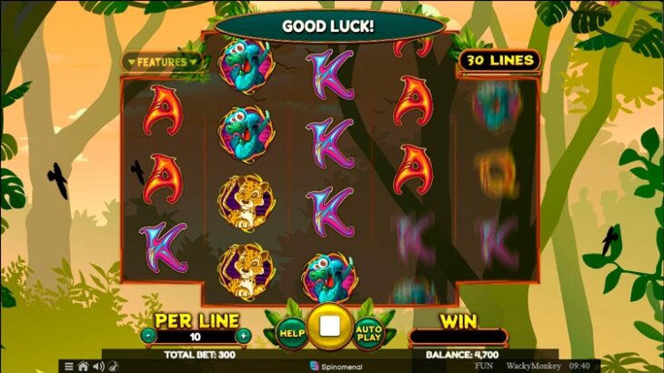 Бонусы Wacky Monkey