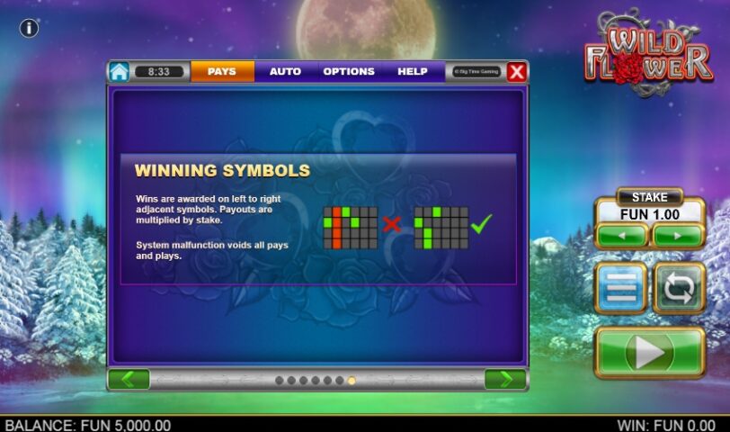 Характеристики игры Wild Flower