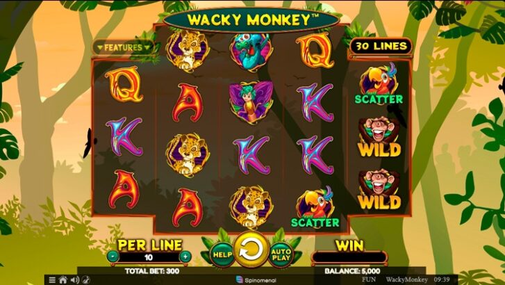 Оформление игрового автомата Wacky Monkey