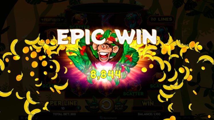 Слот Wacky Monkey