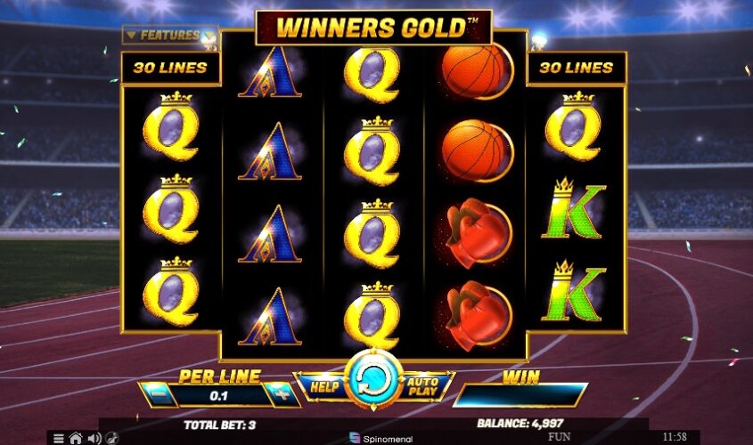 Внешний вид автомата Winners Gold