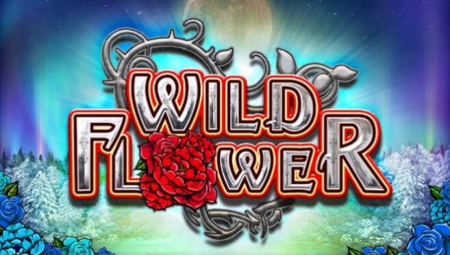 Игровой слот Wild Flower