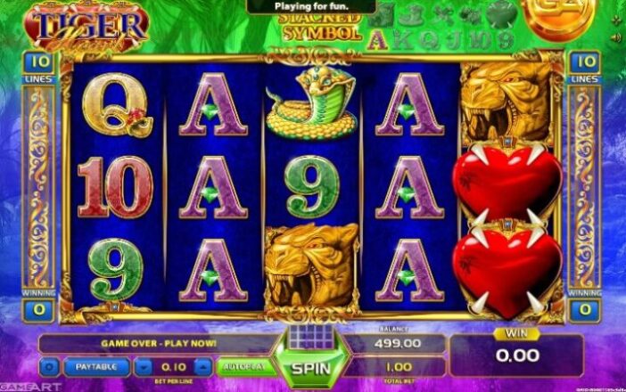 Дизайн Tiger Heart