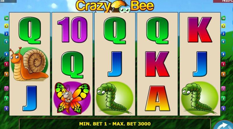 Дизайн слота Crazy Bee