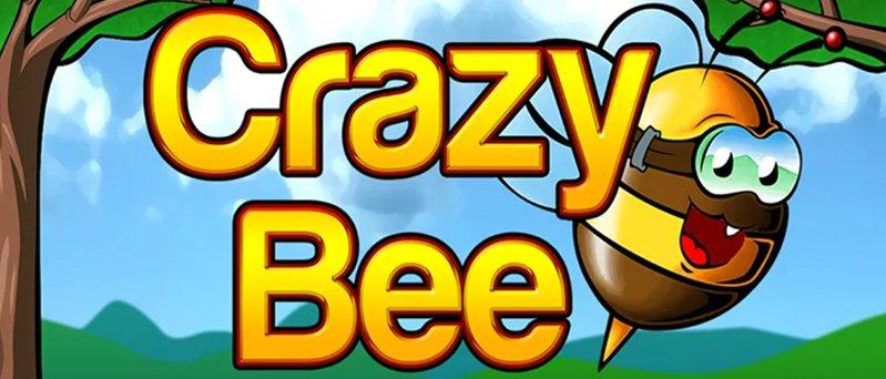 Обзор слота Crazy Bee