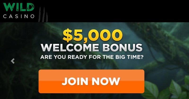 Бонус Wild-Casino