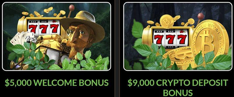 Бонусы Wild-Casino