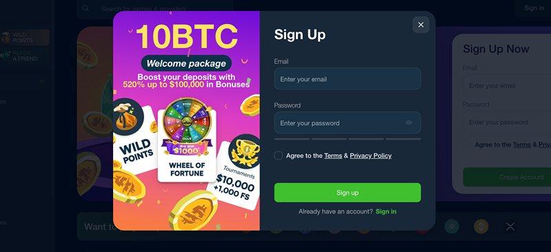 Регистрация Wild io