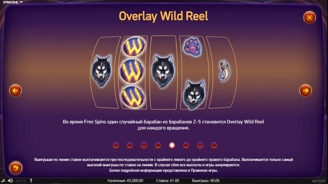 Символы слота Spinsane