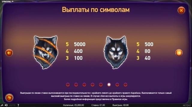 Выплаты слота Spinsane 