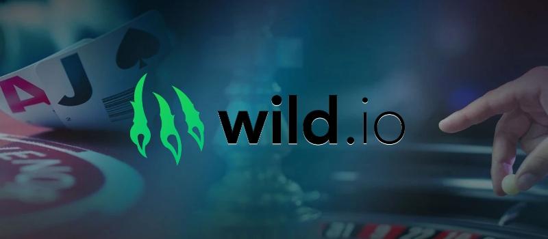 Обзор онлайн-казино Wild io