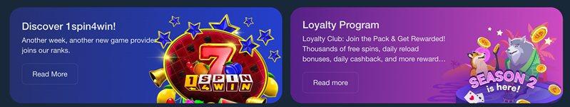 Зеркало Wild io