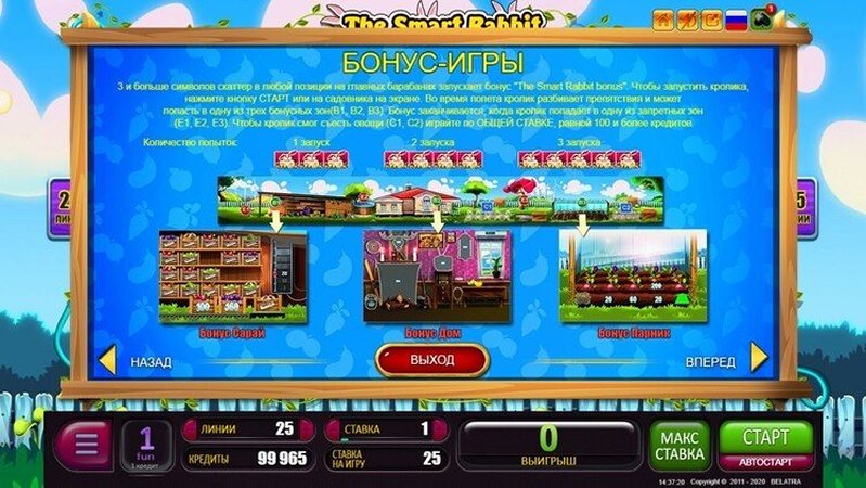 Бонус-игры слота The Smart Rabbit