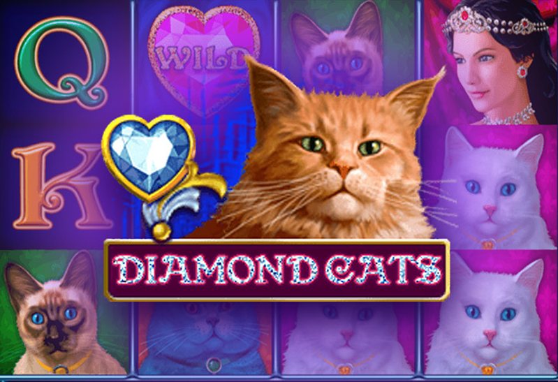 Обзор слота Diamond Cats