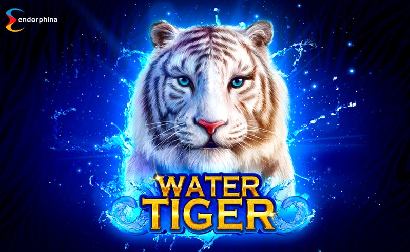 Обзор слота Water Tiger