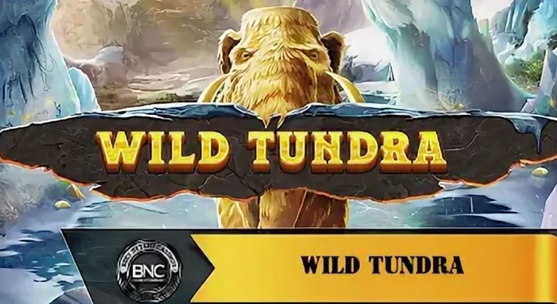 Обзор слота Wild Tundra